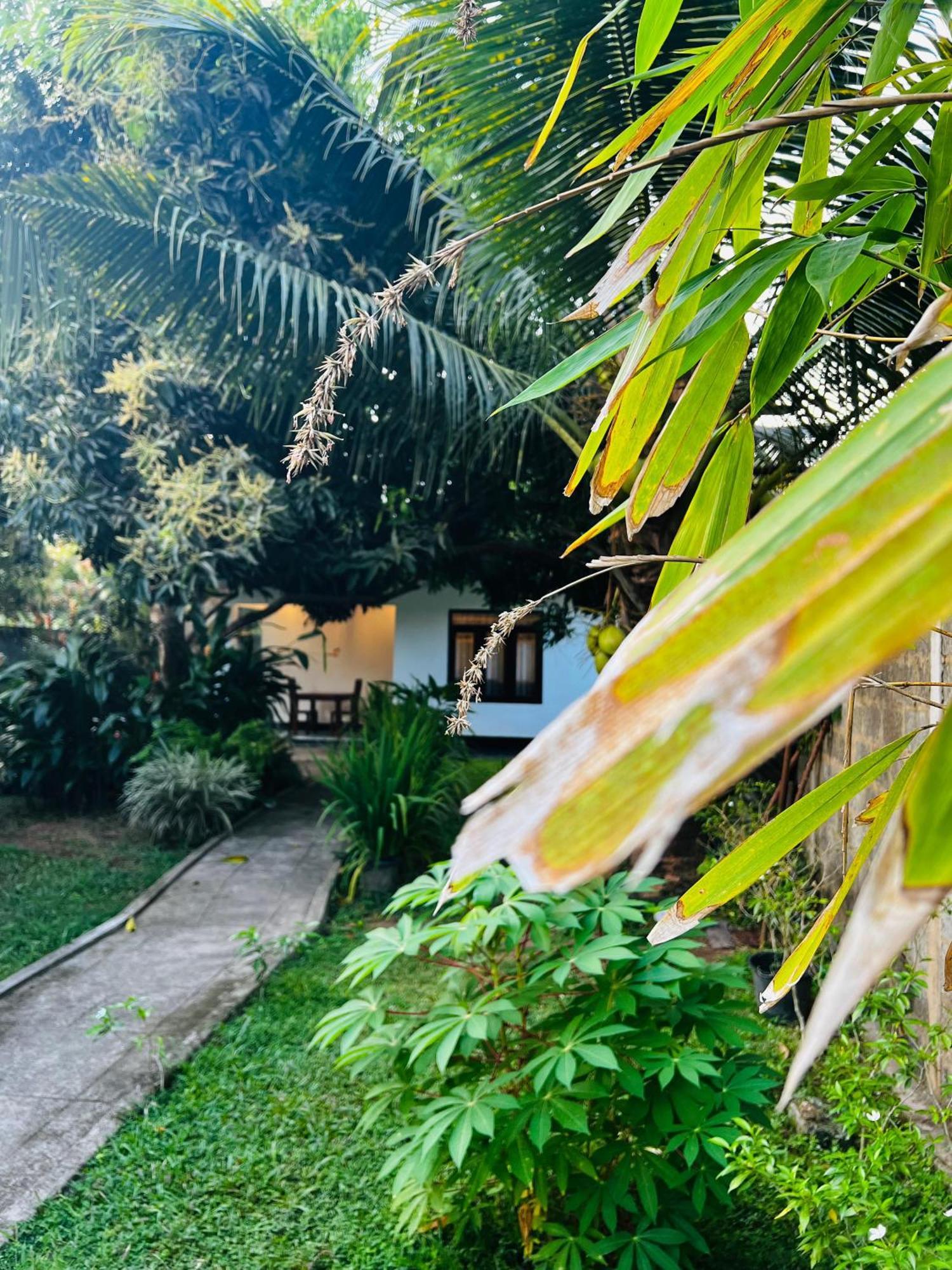 הוילה מיריסה The Mango Retreat מראה חיצוני תמונה